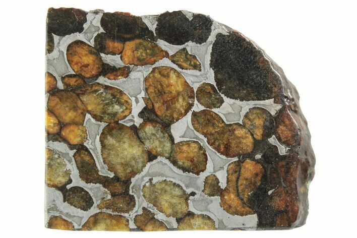 Polished Sericho Pallasite Meteorite (g) Slice - Kenya #249901